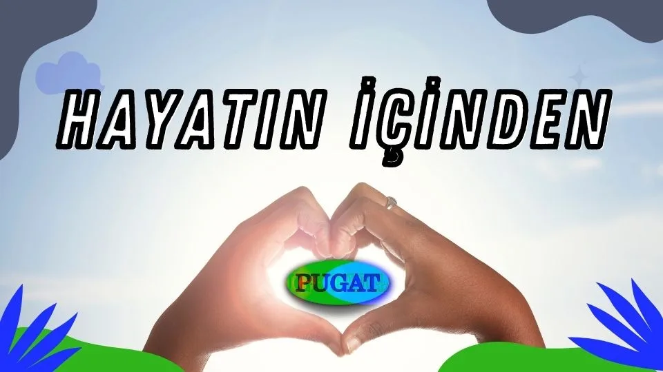 Kategori Hayat